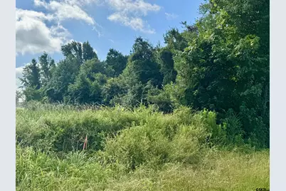 Tbd Cr 369, Winona, TX 75792 - Photo 6