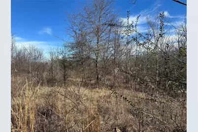 0000 County Road 2324, Como, TX 75431 - Photo 4