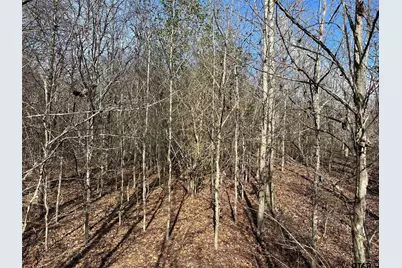 0000 County Road 2324, Como, TX 75431 - Photo 6