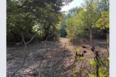 Tbd Fm 607, Brownsboro, TX 75756 - Photo 10