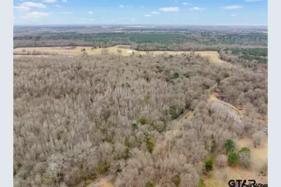 Tbd 24+ Acre Cr 3324, Pittsburg, TX 75686 - Photo 4