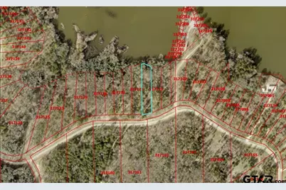 3176 Shadow Pine Dr, LaRue, TX 75770 - Photo 2