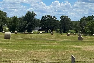 265 Fm 2137, Bullard, TX 75757 - Photo 4