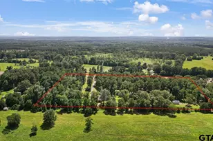 15811 S US Hwy 259, Mt Enterprise, TX 75681 - Photo 46