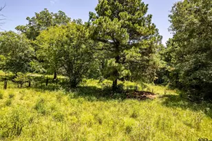 2780 Poppy Rd, Gilmer, TX 75644 - Photo 30
