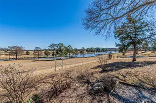 11786 County Rd 4401, LaRue, TX 75770 - Photo 32