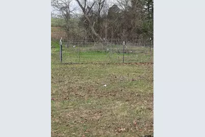 Tbd Fm 317, Murchison, TX 75778 - Photo 18