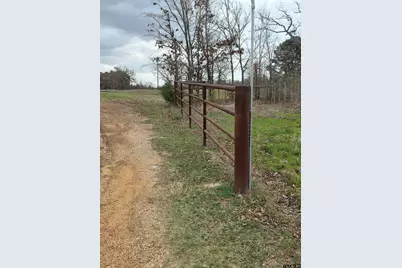 Tbd Fm 317, Murchison, TX 75778 - Photo 8