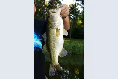 20616 E Grove Club Lake Rd, Whitehouse, TX 75791 - Photo 34