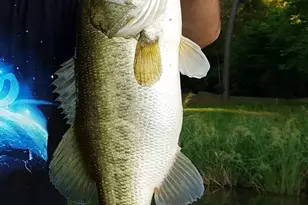 20616 E Grove Club Lake Rd, Whitehouse, TX 75791 - Photo 34