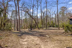 20616 E Grove Club Lake Rd, Whitehouse, TX 75791 - Photo 40