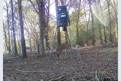 21746 Cr 2138, Troup, TX 75789 - Photo 8