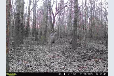 21746 Cr 2138, Troup, TX 75789 - Photo 6