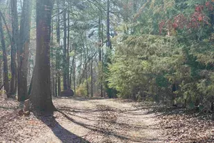 6961 Co Rd 447, Laneville, TX 75667 - Photo 2