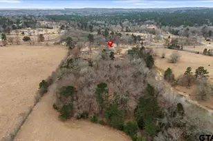 17581 Co Rd 4307, LaRue, TX 75770 - Photo 8