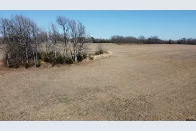 1223 County Road 1236, Quitman, TX 75783 - Photo 18