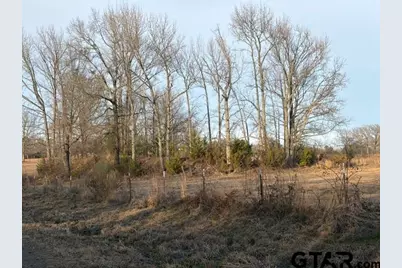1223 County Road 1236, Quitman, TX 75783 - Photo 2