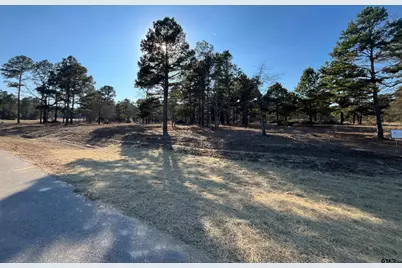 3135 Shadow Pine Drive, LaRue, TX 75770 - Photo 4