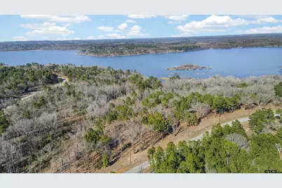 3200 Shadow Pine Dr, LaRue, TX 75770 - Photo 4