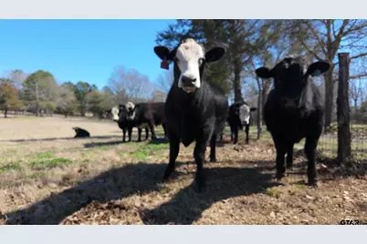 5730 E Fm 323, Palestine, TX 75801 - Photo 32