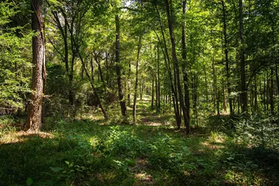 5624 E Fm 323, Palestine, TX 75801 - Photo 26