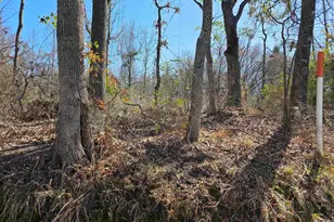 000 County Road 1418, Quitman, TX 75783 - Photo 1