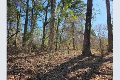 000 County Road 1418, Quitman, TX 75783 - Photo 6