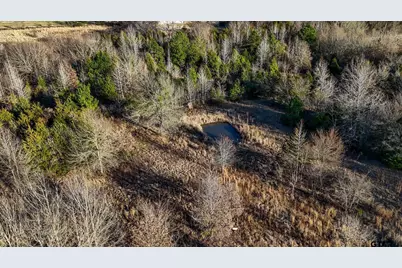 1352 Vz County Road 4512, Ben Wheeler, TX 75754 - Photo 4