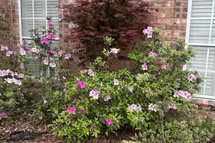 406 Brighton Court, Tyler, TX 75701 - Photo 38