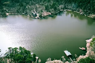 569 Private Rd 6662, Mineola, TX 75773 - Photo 44