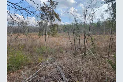 Tbd Cr 2312, Pittsburg, TX 75686 - Photo 2