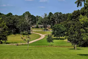 7991 FM314, Ben Wheeler, TX 75754 - Photo 1