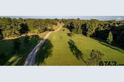 7991 Fm 314, Ben Wheeler, TX 75754 - Photo 4