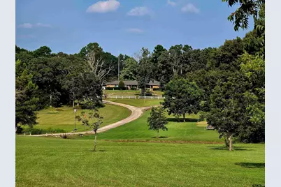 7991 Fm 314, Ben Wheeler, TX 75754 - Photo 4