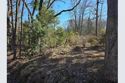 0000 County Road 1420, Quitman, TX 75783 - Photo 2