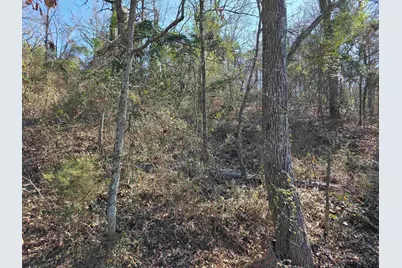 0000 County Road 1420, Quitman, TX 75783 - Photo 4