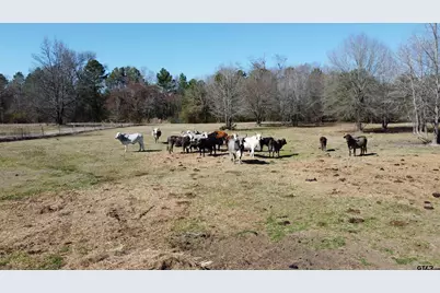 605 Cr 2100, Quitman, TX 75783 - Photo 36