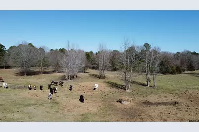 605 Cr 2100, Quitman, TX 75783 - Photo 2