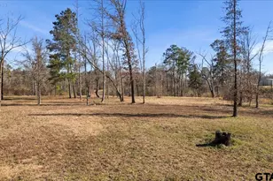 23193 County Rd 2169, Troup, TX 75789 - Photo 38