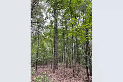 Tbd 9.91 Acres Pr 6662, Mineola, TX 75773 - Photo 1