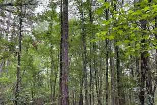 Tbd 9 91 Acres Pr 6662, Mineola, TX 75773 - Photo 1