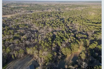 Tbd 9.91 Acres Pr 6662, Mineola, TX 75773 - Photo 12