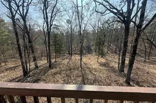 1117 Co Rd 2421, Leesburg, TX 75451 - Photo 4