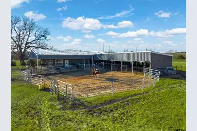 3397 Vz County Road 4412, Ben Wheeler, TX 75754 - Photo 36