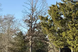 931 Cr 1627, Rusk, TX 75785 - Photo 2