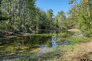 8477 FM 14, Hawkins, TX 75765 - Photo 1