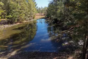 8477 S FM 14, Hawkins, TX 75765 - Photo 48