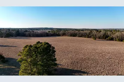 000 Cr 3854, Hawkins, TX 75765 - Photo 12
