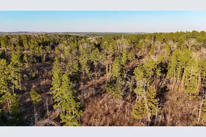 000 Cr 3854, Hawkins, TX 75765 - Photo 2