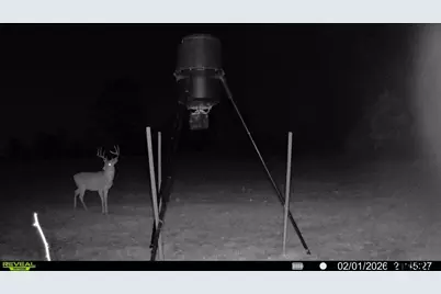 000 Cr 3854, Hawkins, TX 75765 - Photo 40